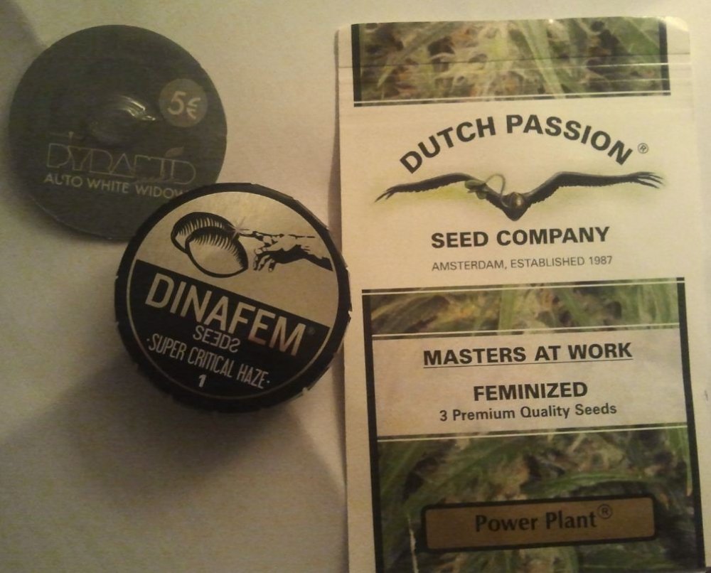 post-13797-0-12936100-1359731242_thumb.j