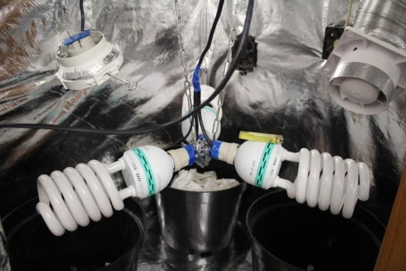 msg-21798-0-25122300-1403636392_thumb.jp