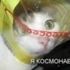 Наша милиция нас бережет. - последнее сообщение от KOCMOHABT